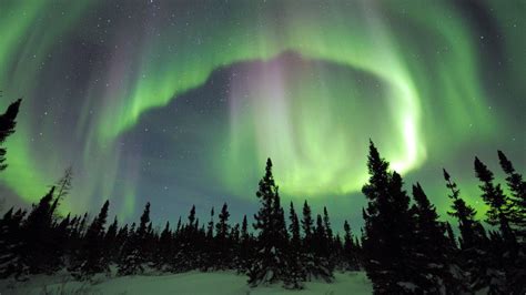 Aurora Viewing Tour Fairbanks Alaska Northern Lights Nl01 The
