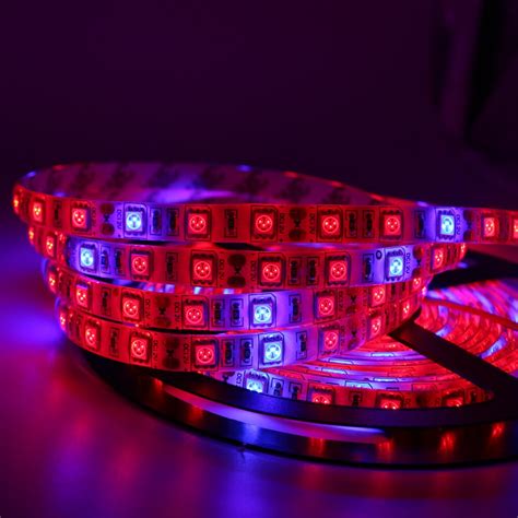 Red and blue spectrum led grow lights. 5M LED Plant Grow Lights Full Spectrum Waterproof strip ...
