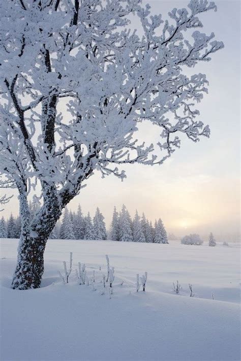 Beautiful World In 2019 Winter Landscape Winter