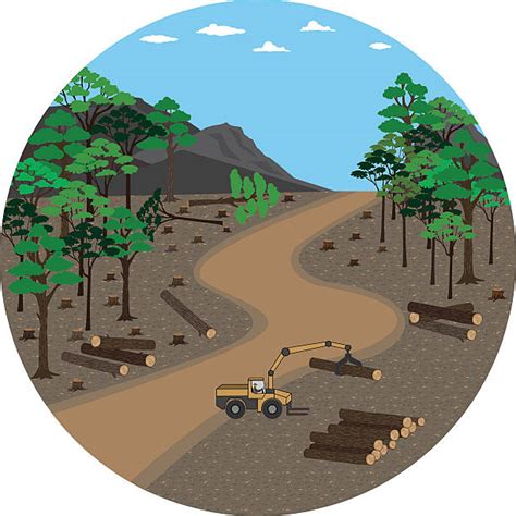 Deforestation Clip Art Vector Images And Illustrations Istock