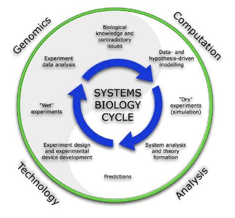 This Schematic Diagram Depicts The Systems Biology Cycle Systems