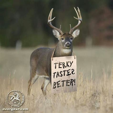 Pin By Allen Company On Hunting Deer Hunting Humor Hunting Humor