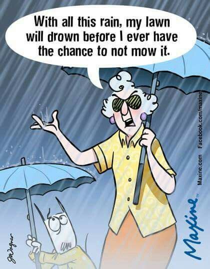 Pin By J W On Spring Rain Humor Rain Cartoon Maxine
