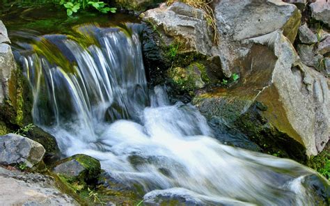 The Small Mountain Stream Wallpapers And Images Wallpapers Pictures