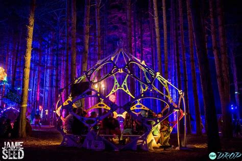 Sights From The Forest 10 Photos Of Electric Forests Epic Art