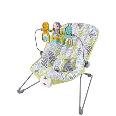 Best Baby Bouncers Of 2021 Reviews And Buying Guide