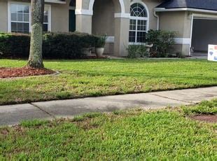 For example, you may hire one company to mow the lawn, while contracting with another to take care of your flower beds. Jacksonville, FL Lawn Care Service | Lawn Mowing from $19 | Rated Best 2020