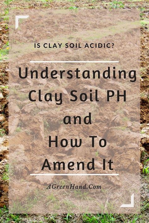 Is Clay Soil Acidic Understanding Clay Soil Ph And How To Amend It