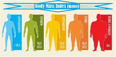 What Is Body Mass Index Bmi And How To Calculate Your Bmi