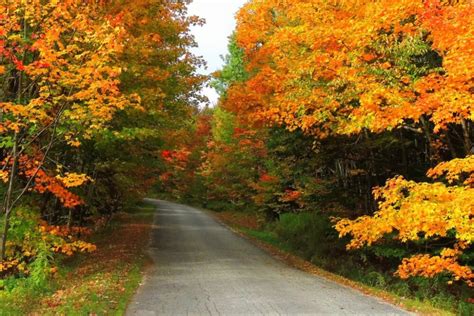 Celebrate Fall Foliage In Bennington Vermont Vermont Begins Here