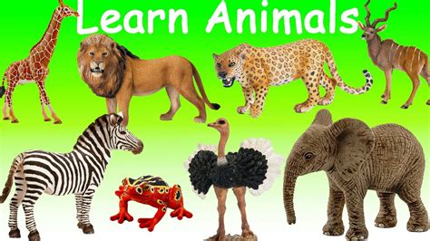Learn Wild Animals Names And Sounds Educational Video For Kids Toddlers