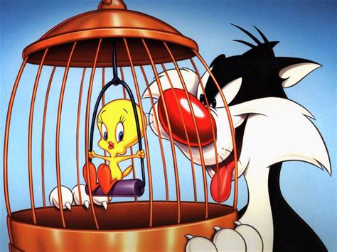 Tweety Bird Wallpaper Free Hd Backgrounds Images Pictures