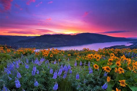Maybe you would like to learn more about one of these? Flower & Garden Events | Travel Oregon