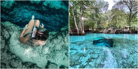 Ginnie Springs Underwater Cave Has An Edge For You To Sit On Narcity