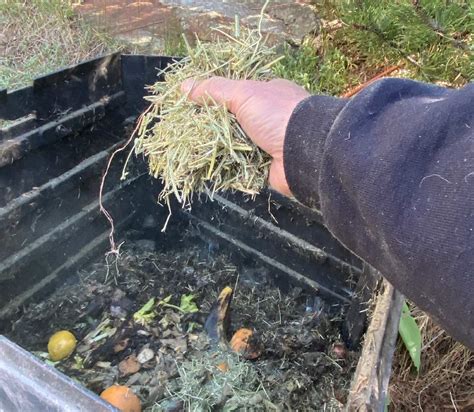 How To Start A Compost Pile Or Bin