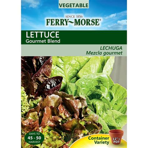 Universal images group via getty images. Ferry-Morse Lettuce Gourmet Blend at Lowes.com