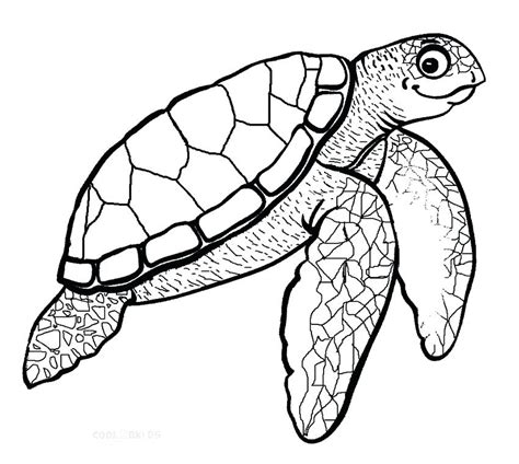 Hawaiian Sea Turtle Drawing At Getdrawings Free Download
