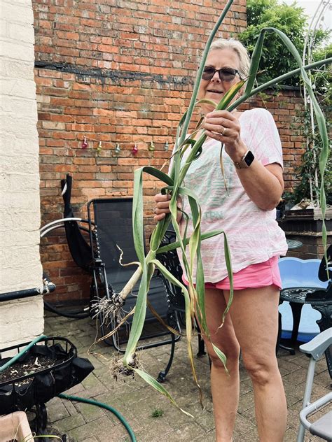 Adam Michael 🦌 On Twitter Tell Me Why This Fucking Woman Is Tryna Give Me Her Homegrown Leeks