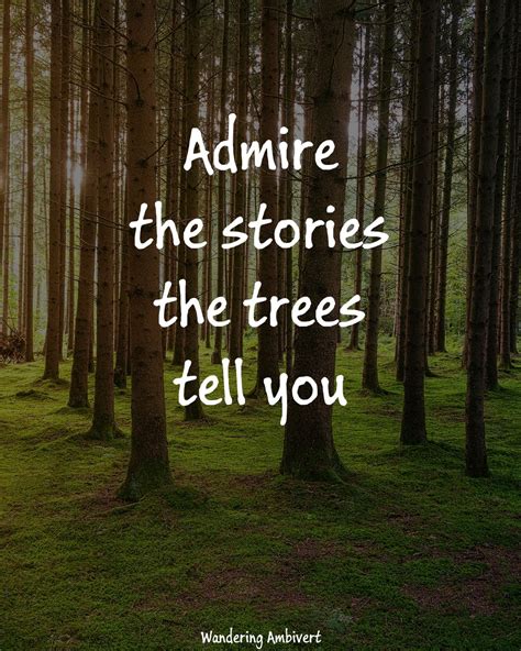 Admire the stories | Travel quotes, Nature travel, Peace poster