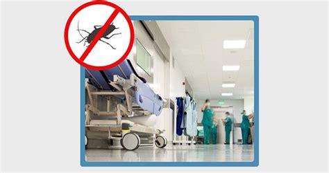 Our termite extermination areas includes brooksville, spring hill, weeki wachee, inverness, dunnellon, lecanto, beverly hills, hernando. Doctor Office Pest Control in Spring Hill FL