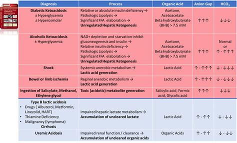 Anion Gap Metabolic Acidosis Differential