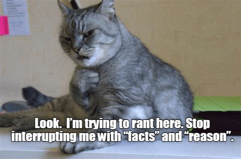 Let Me Rant Cat Memes Funny Cat Memes Funny Memes