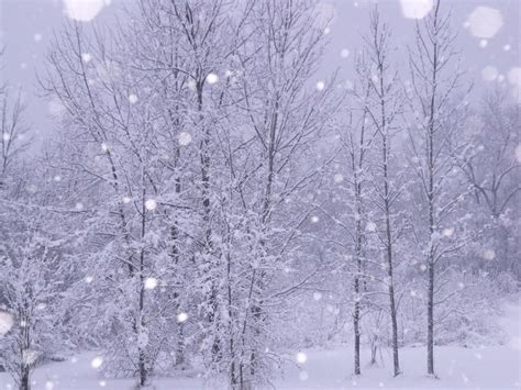 Scandic örnsköldsvik and morning snow. Winter in Michigan (photo by Lindsay Shull) 3648x2736