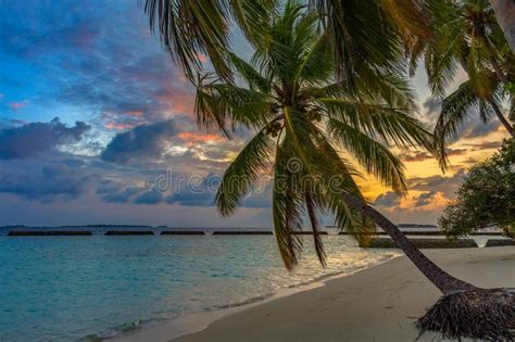 Sunrise On Tropical Beach At Maldives Palm Trees And Turquoise Water