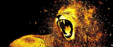The Lion Of Judah Is Roaring Over The Injustice In Your Life Kingdom