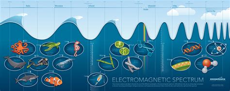 Image: Into the depths of the electromagnetic spectrum
