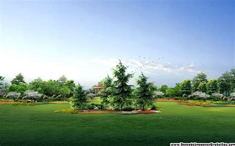Free Image Bank: Mi jardín verde - My green garden (espacios recreativos)