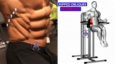 RIPPED OBLIQUES WORKOUT V Cut ABS YouTube