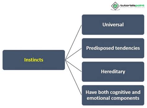 Instinct Meaning And Theories