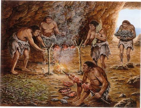 Early Humans Placed The Hearth At The Optimal Location In Their Cave