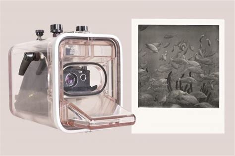 Going Old School Polaroid Underwater Photography
