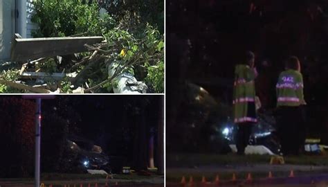 Fatal Auckland Car Accident Shocks Residents Leaving Massive Mess Newshub