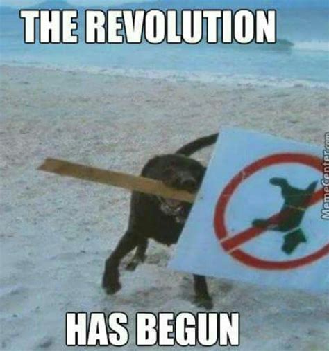 Doggo Revolution Meme By Oppositeassassin Memedroid