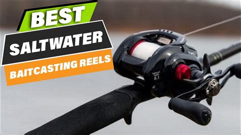 Top 10 Best Baitcasting Reels For Saltwater On Amazon YouTube