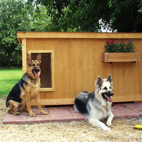 How To Choose The Right German Shepherd Dog House Us Bones