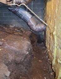Our skilled technicians will take care of pest problems for residential and commercial customers. The CleanSpace Crawl Space Vapor Barrier by North Little ...