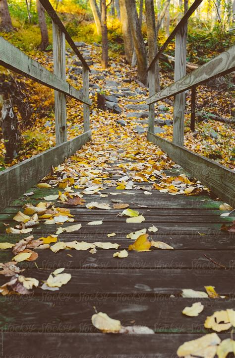 Wooden Pedestrian Bridge Covered With Colorful Autumn Leaves By