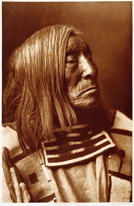 A Picture Of Famous Warrior Lone Tree Apsroke Born In 1828 Edward