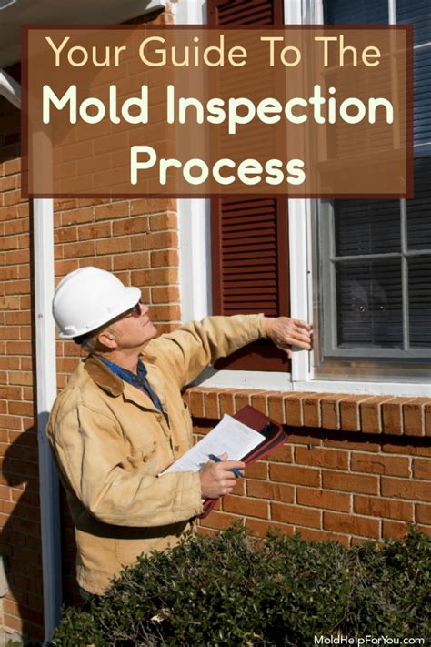 Mold Inspection And Mold Inspector Basics What You Need To Know And Why
