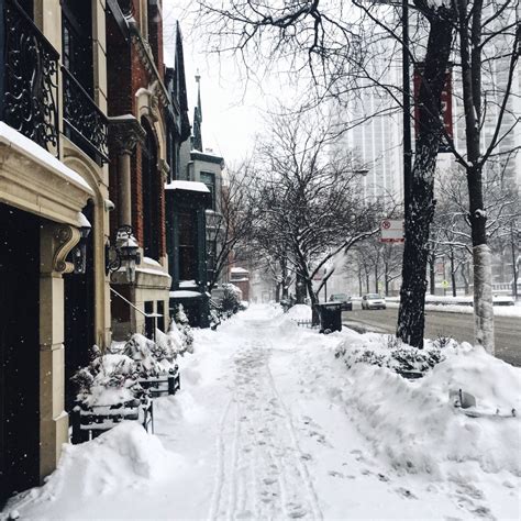 15 Things To Do In Chicago In The Winter