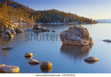 Bonsai Rock Lake Tahoe Nevada Stock Photo 134563145 Shutterstock