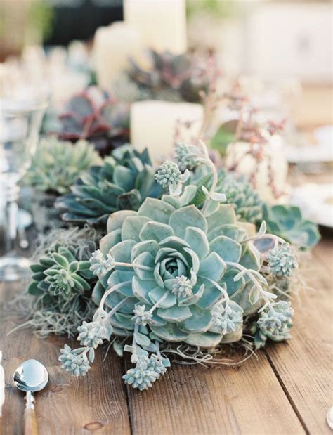 Eye Popping Spring Wedding Centerpieces With Succulent Succulent