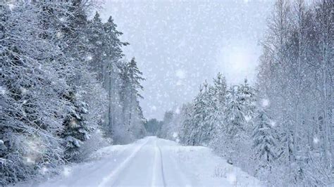 Watch Snow Falling On A Peaceful Country Road Screensaver