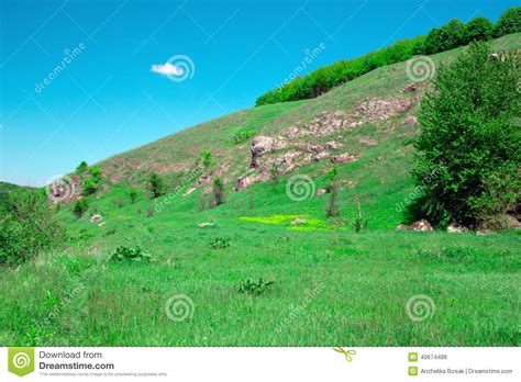 Landscape Of A Green Grassy Hills Valley Trees And Blue Sky Wi Stock