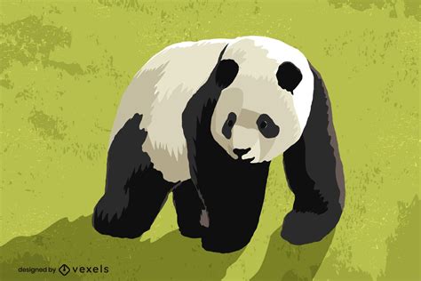 Desenho De Ilustração Do Urso Panda Baixar Vector