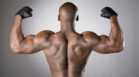 Top 5 Upper Body Exercises For Building A Bigger Back Muscle And Fitness